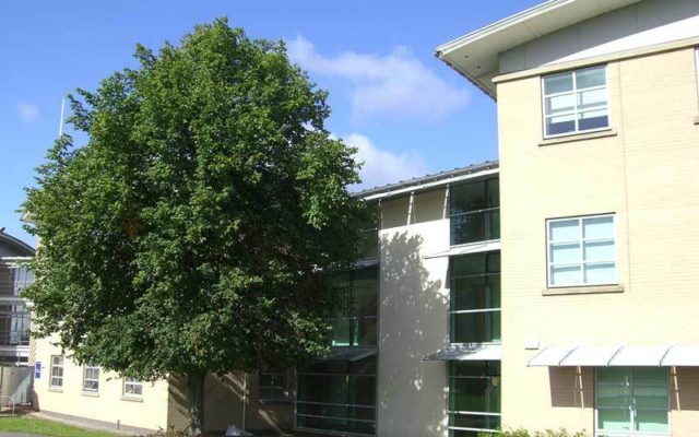 University of York Psychology Department by mbo architects york uk